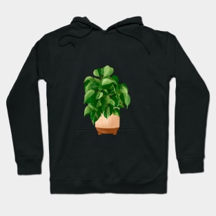 Philodendron hederaceum - Heartleaf Philodendron, Potted Plant Illustration Hoodie